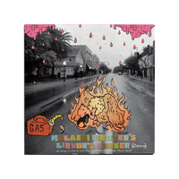 Less Than Jake - GNV FLA LP + 180 Gram Black Vinyl + Bonus 7"